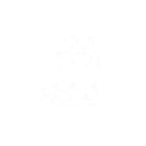 Caballerango